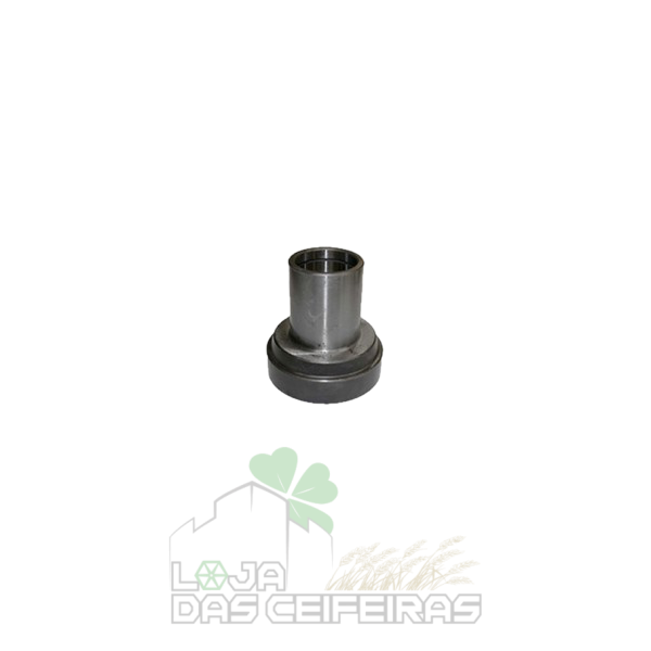 320696850 320696850 - CASQUILHO - Image 1