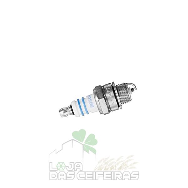 2322 - Vela_Loja das Ceifeiras Vela