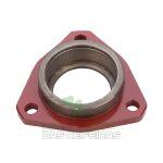 320451250_Flalange-Triangular